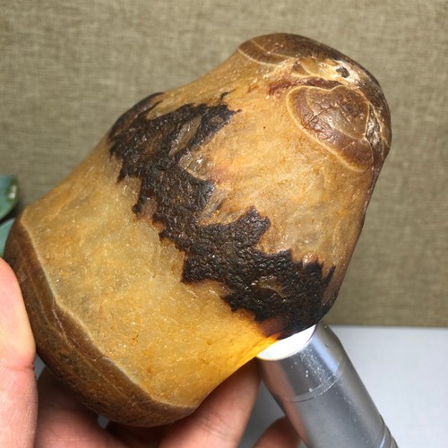 823g natural bonsai - 823g,