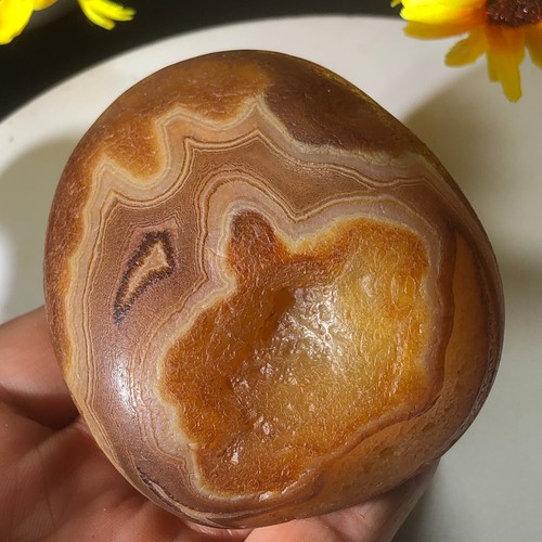 311g bonsai suiseki natural - 311g,