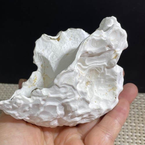 255g bonsai suiseki gobi - bonsai,