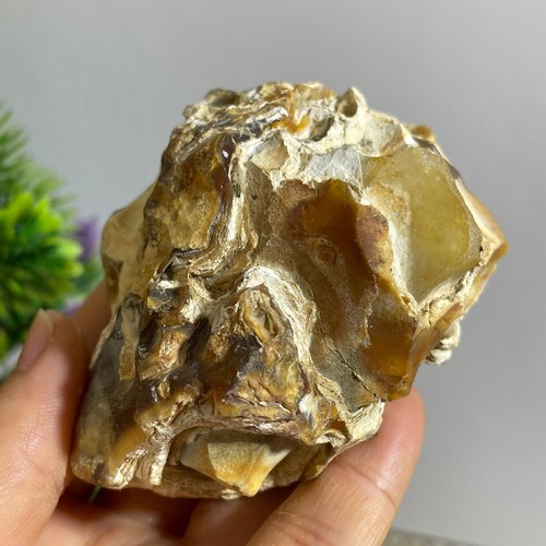 228g bonsai suiseki gobi - bonsai, suiseki-