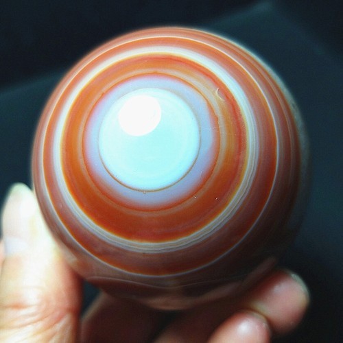 Rare 228 54mm natural - rare,