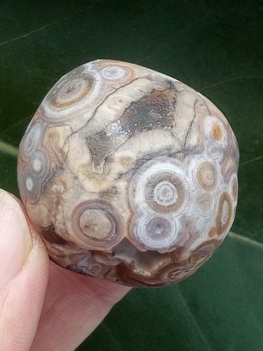 33mm natural gobi agate - 33mm,