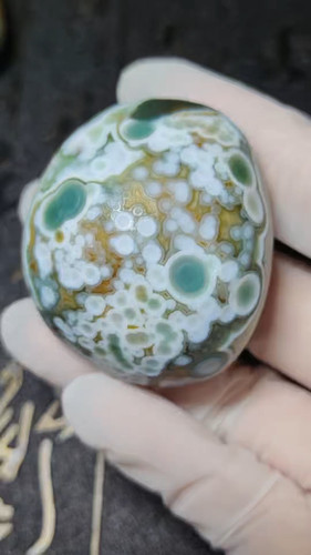 Natural gobi eye - eye, palm