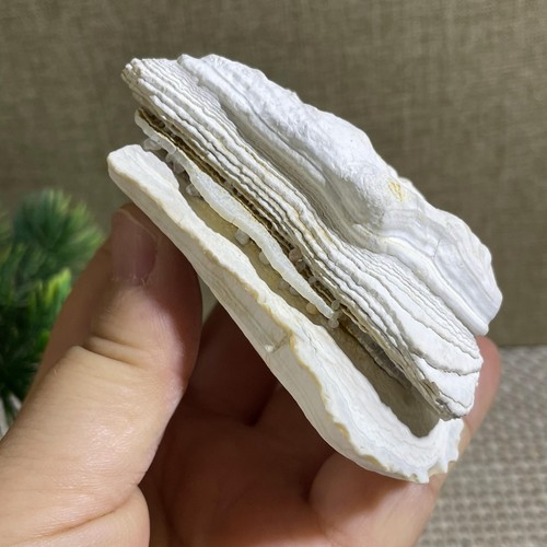 152g gobi agate eyes - 152g,